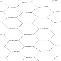 Galvanized Hexagonal Wire Netting Chicken Mesh